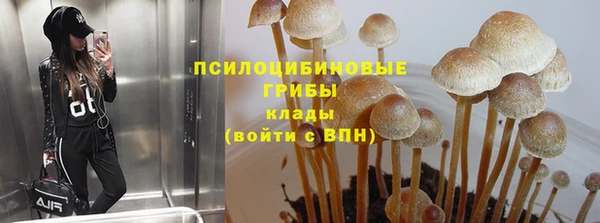 альфа пвп Няндома
