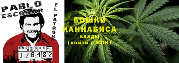 соль ск Новодвинск