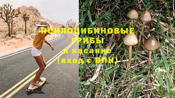 гидра Весьегонск