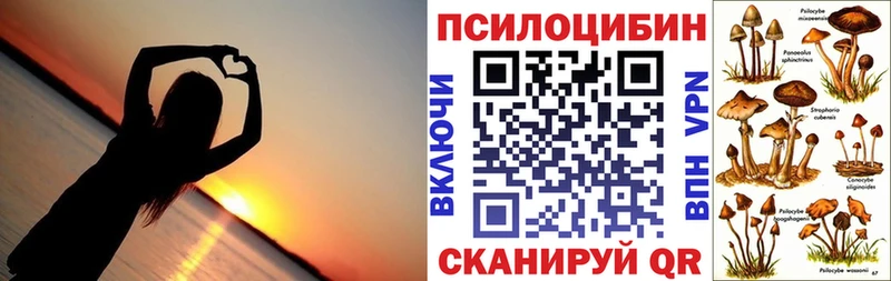 Псилоцибиновые грибы Psilocybe Покров